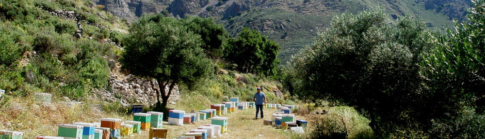 Crete's Culinary Sanctuaries Study Tour. Photo by Nikki Rose