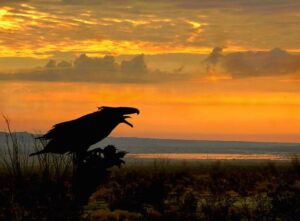Borrego sunrise with Wind God Bird sculpture. Photo: Sam Webb.