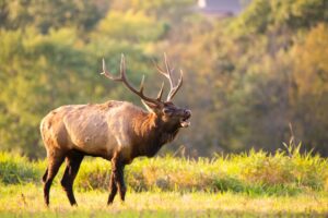 pennsylvania eco tourism