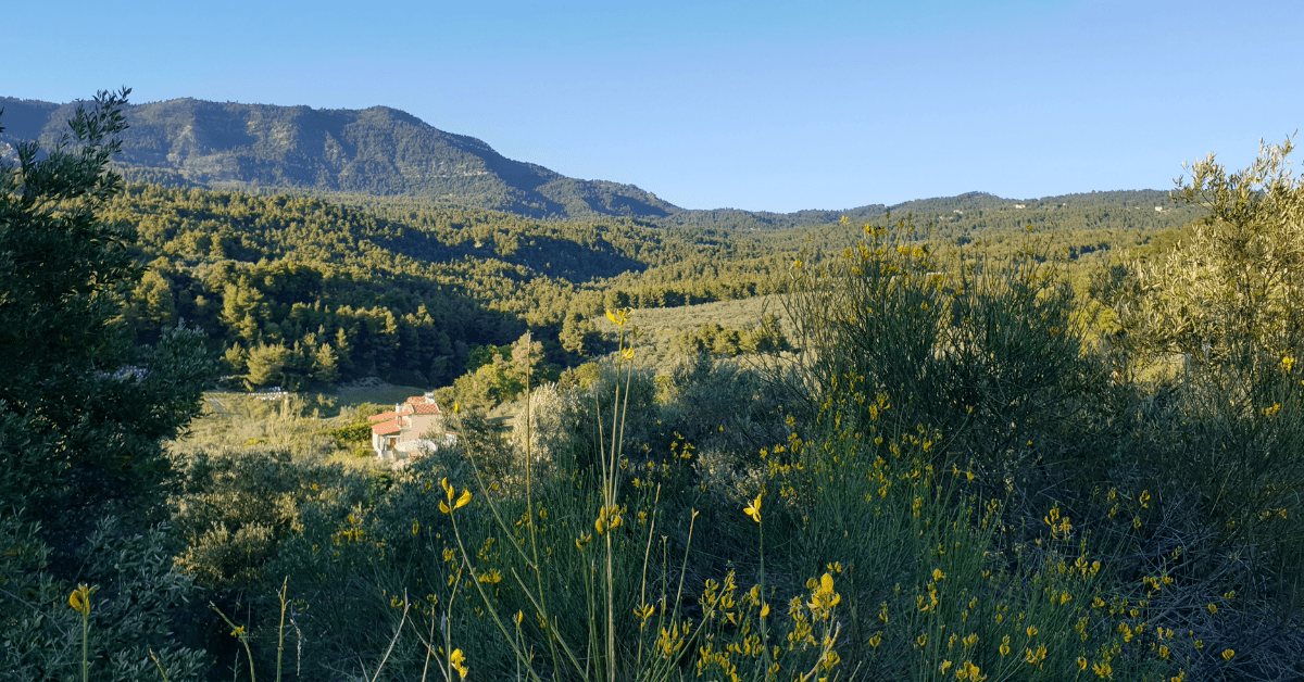 a green valley with yellow floewrs in the foreground, a mountain in the background. In the middle left, there is a white house with a terracotta roof in the valley.